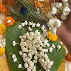 Artificial Jasmin Flower (Mullappoo) VPB00122